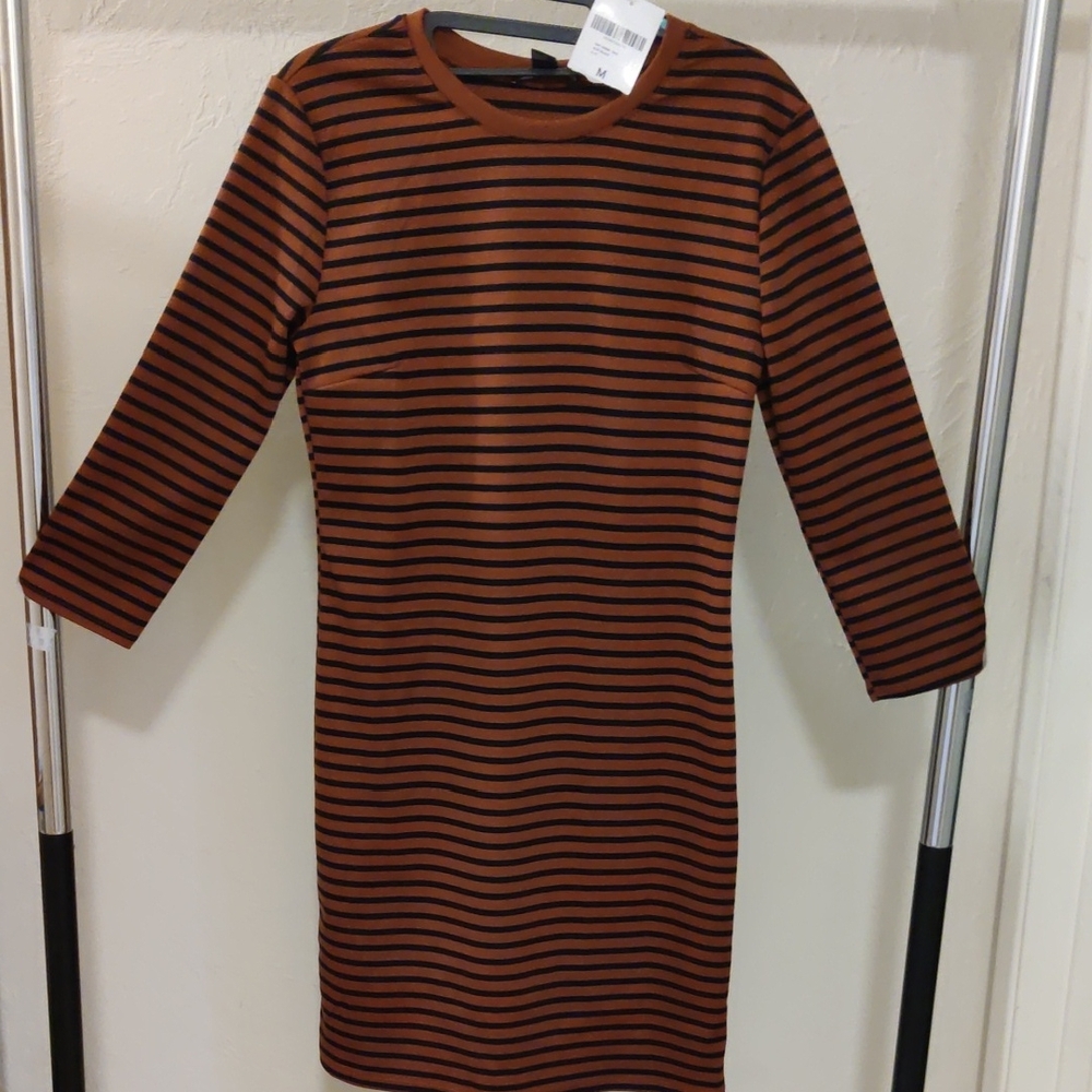NEW Forever 21 Rust/ Black Striped Long Sleeve Sheath Dress Stretchy Size M